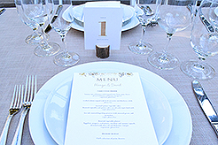 LOVE IN BLOOM AT WISTERIA HALL